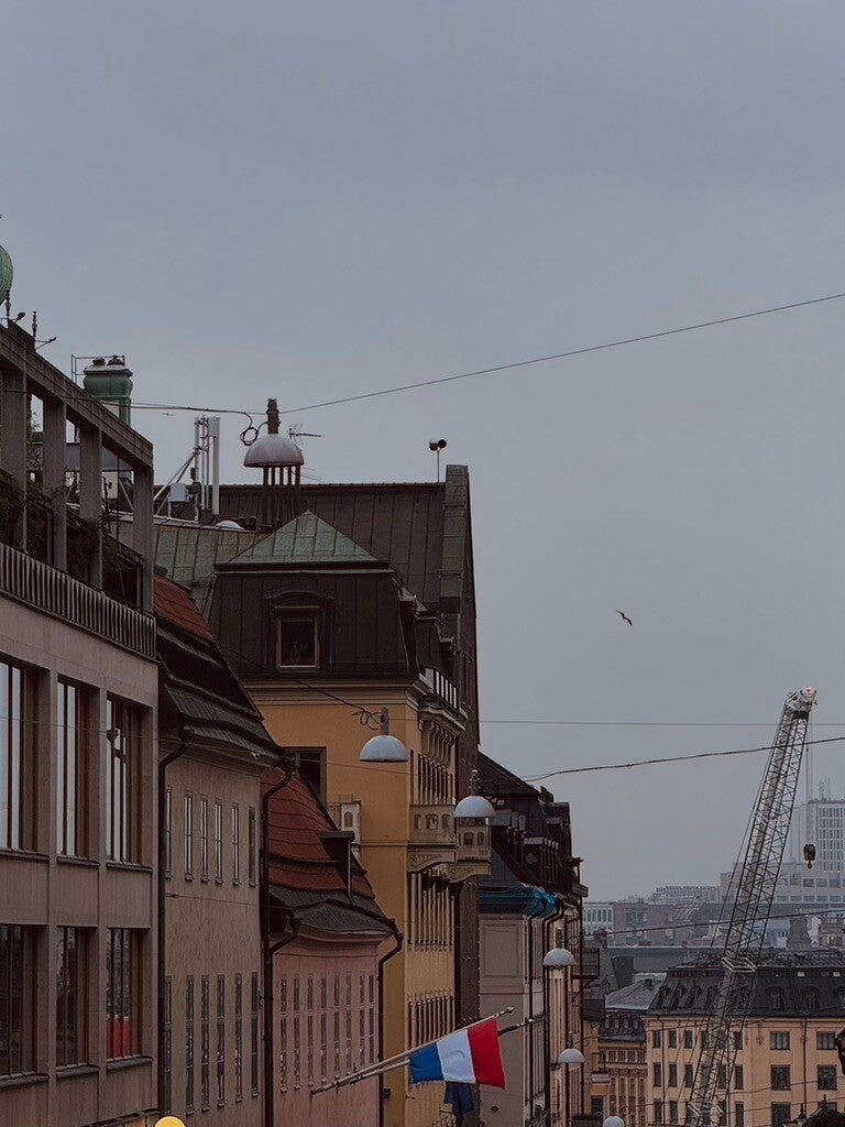 The city