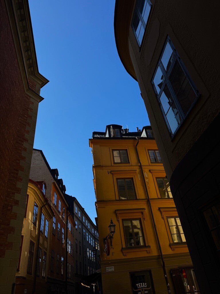 The city