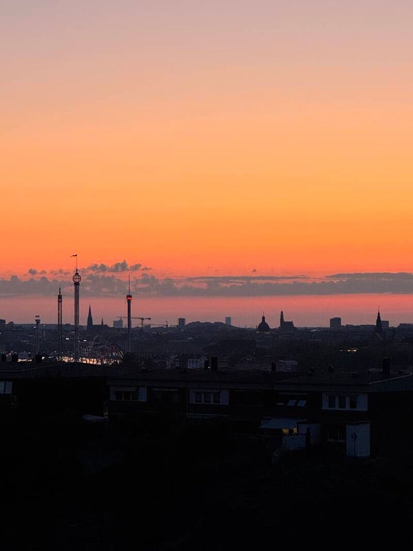 The city