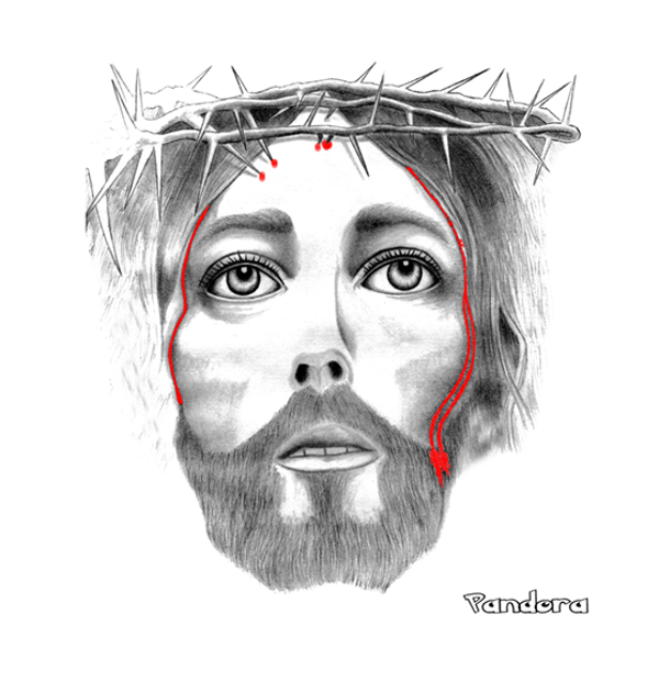 Crown of Thorns on Canvas