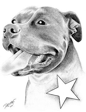 Dog (Personalize Name in Star) on Canvas