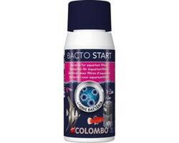 Colombo - bacto start - 100 ml