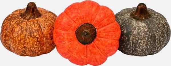 Pompoenen 5,5 x 4,5 cm | 3 stuks - Multicolour