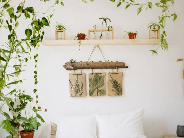 Nature & Clay Kit  Wall Hanging