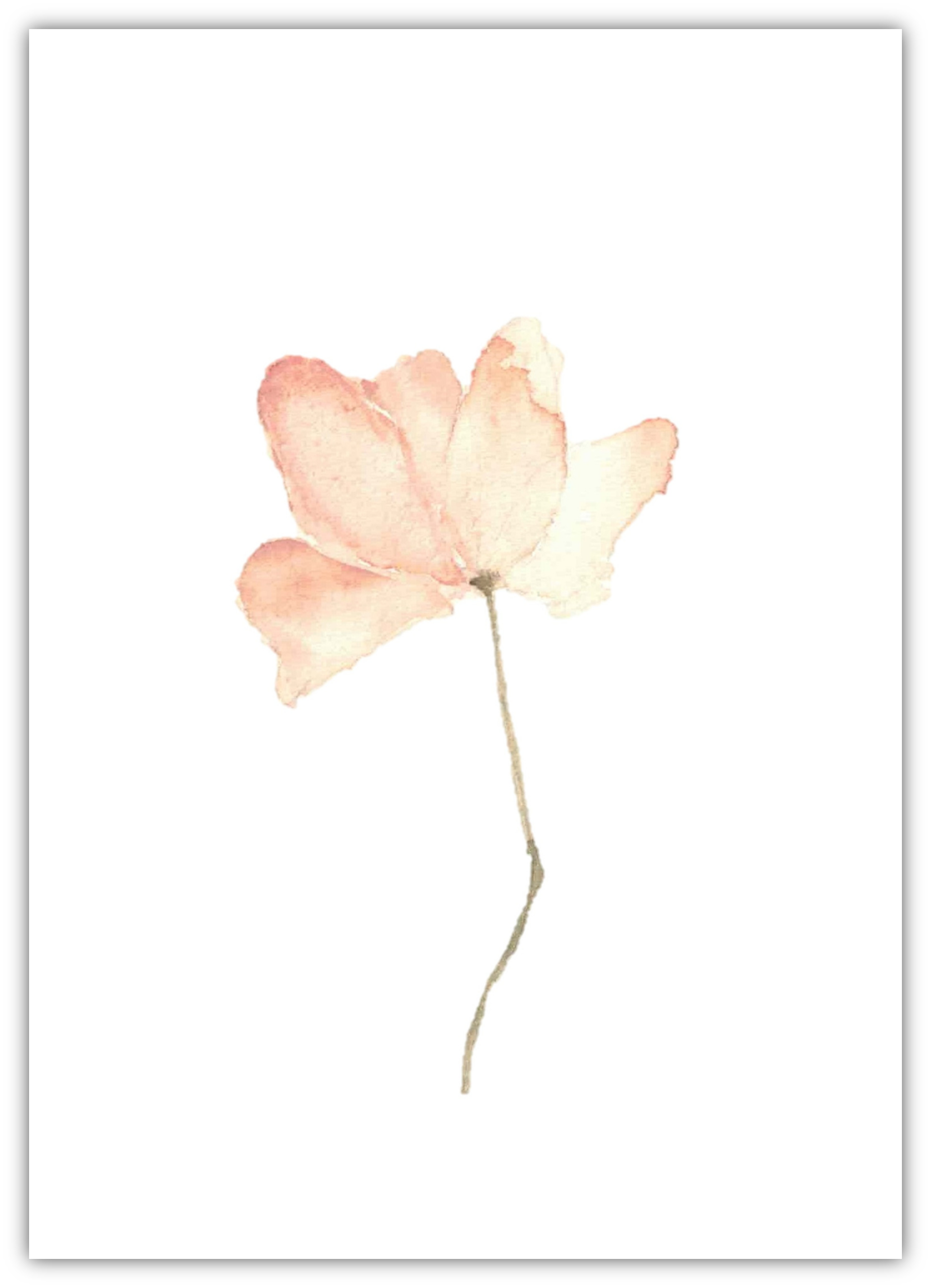 Blanco - Kracht in zachtheid