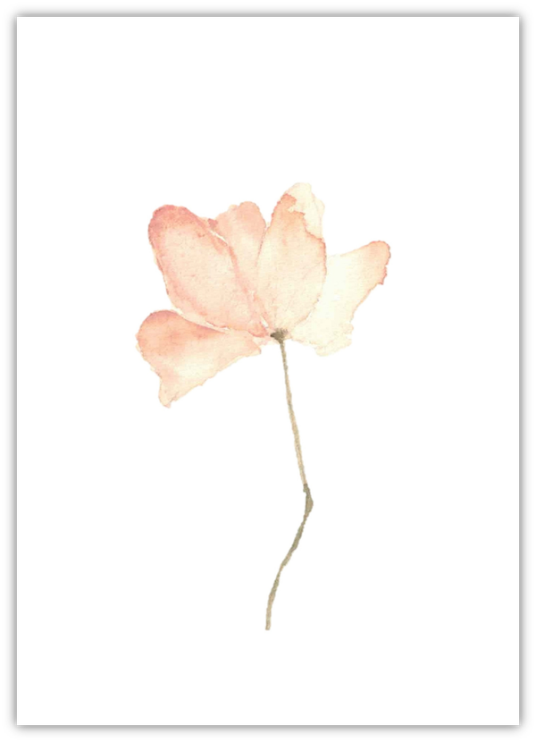 Blanco - Kracht in zachtheid