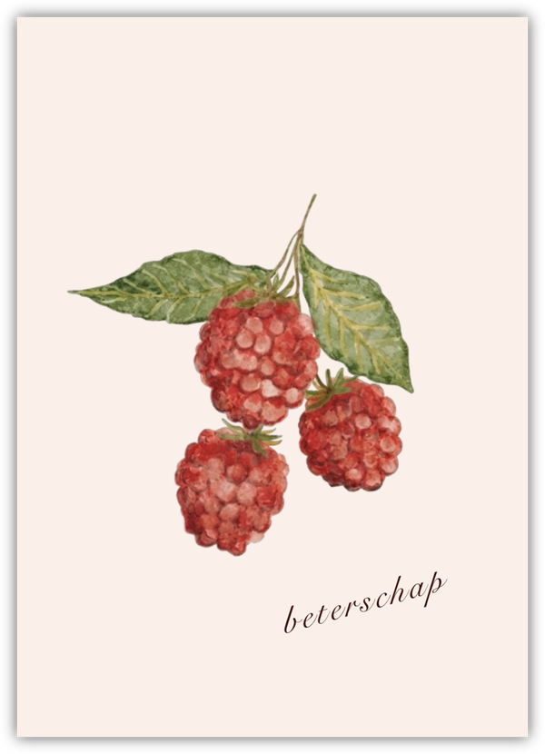 Beterschap - Sweet Recovery