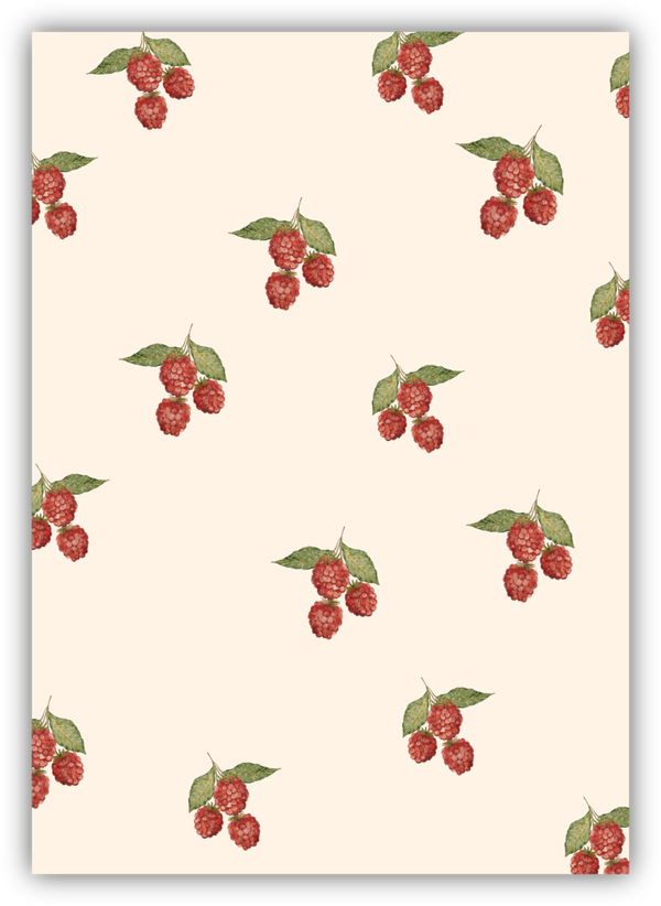 Blanco - Zomerse Framboos