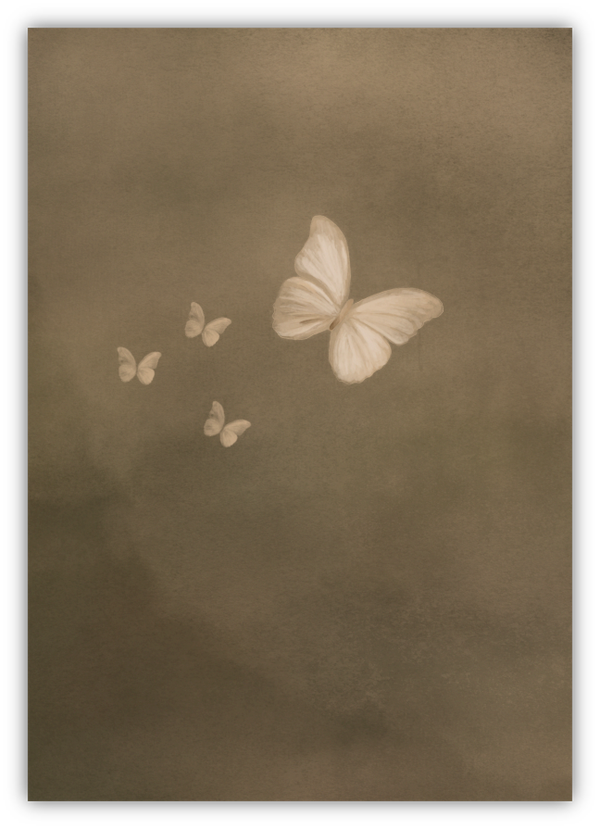 Blanco - Serene Vlucht