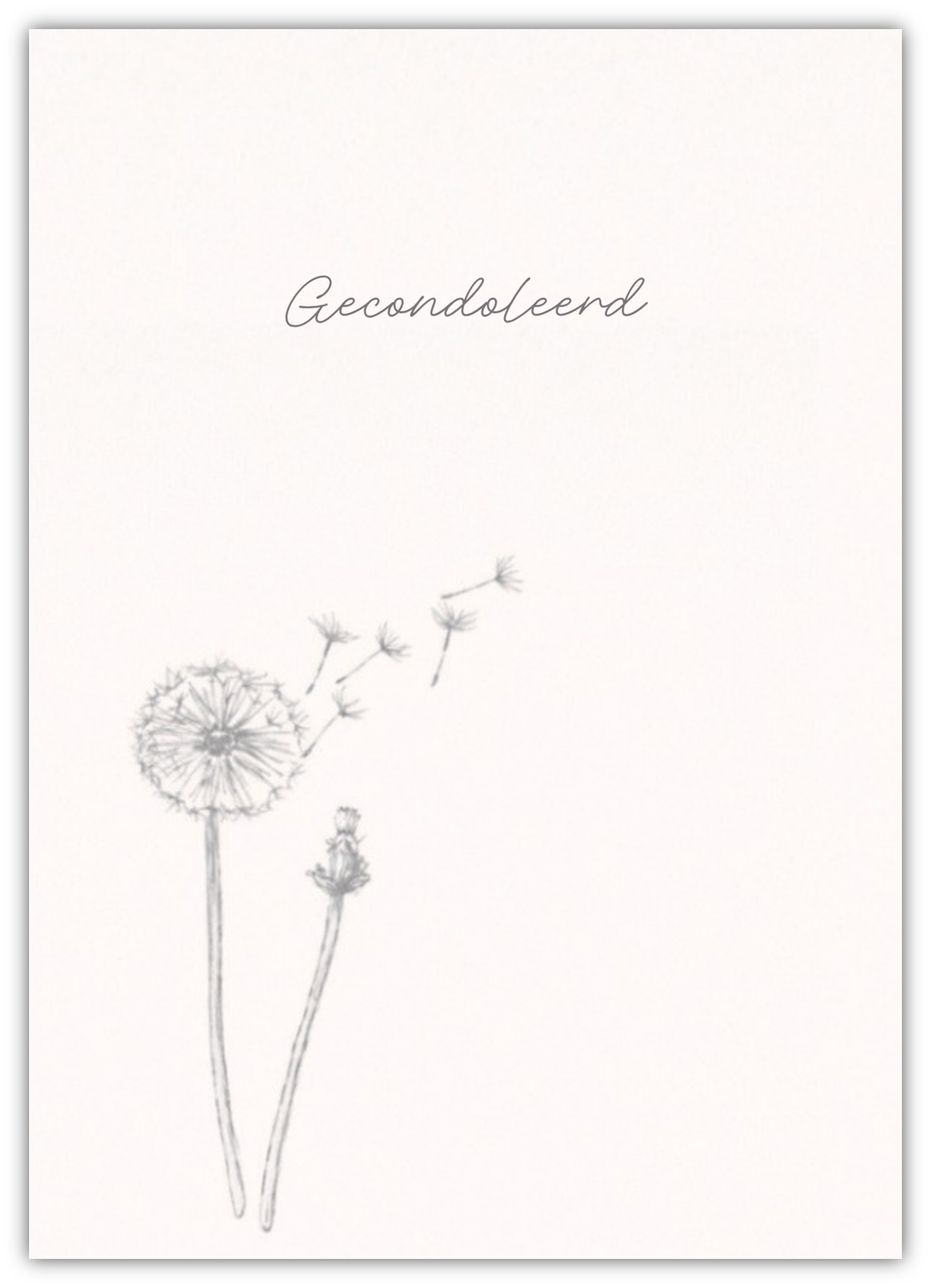 Gecondoleerd - Stille Blaasbloem