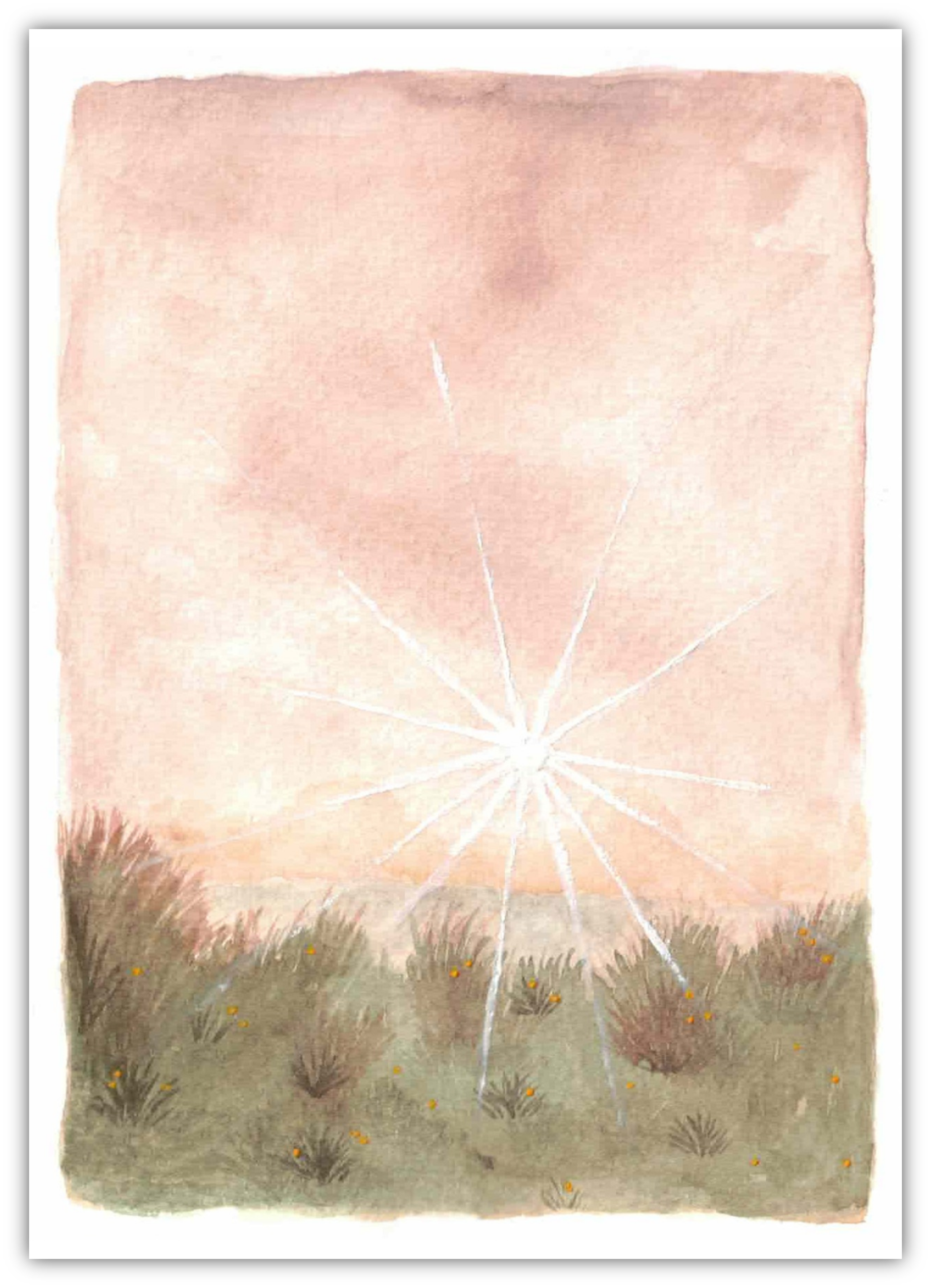 Blanco - Ochtendlicht