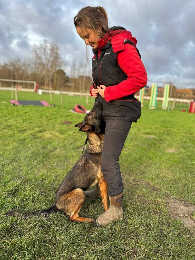 Training