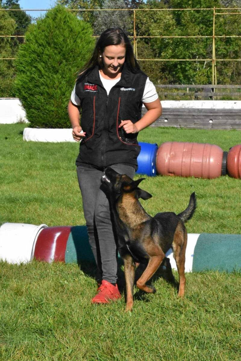 Training