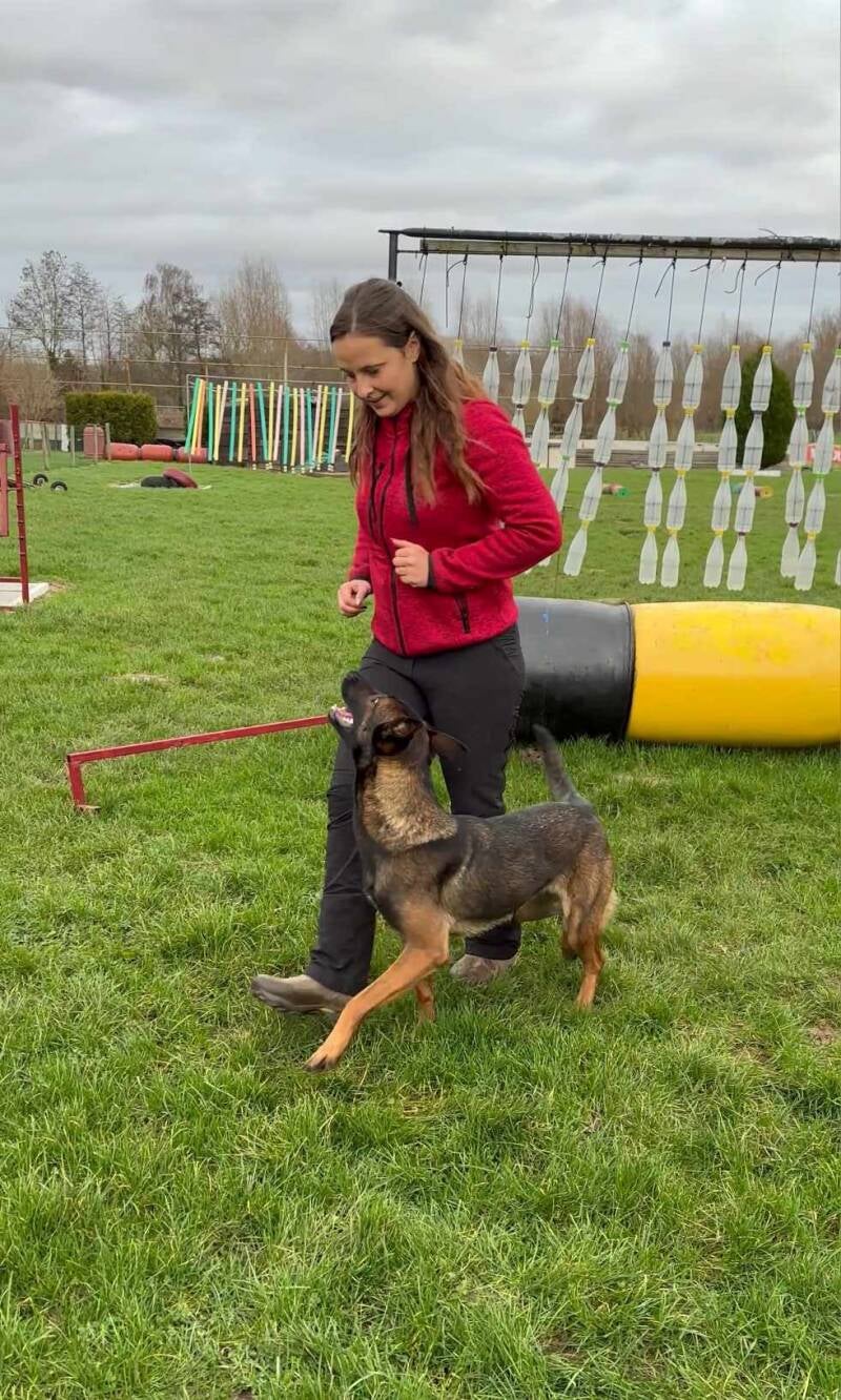 Training