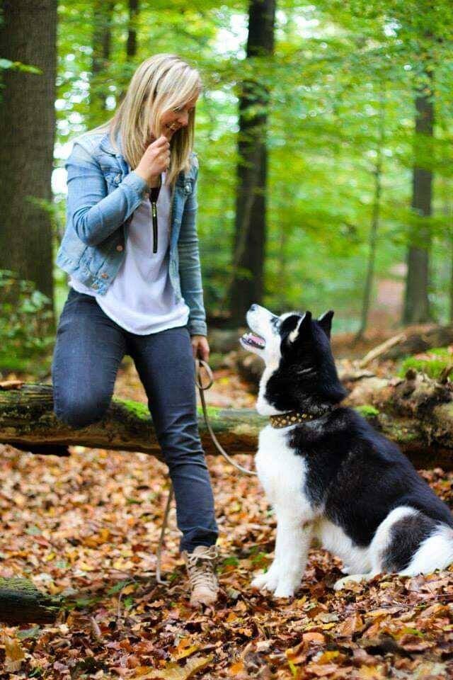 Husky