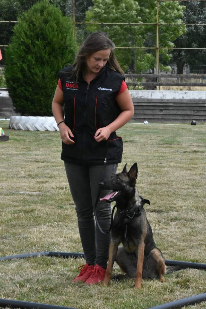Training