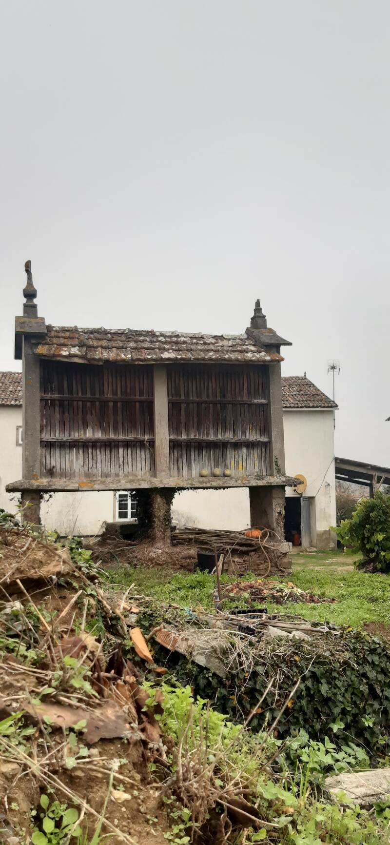 Traditional Galician hórreo – a raised granary commonly seen along the Camino de Santiago.