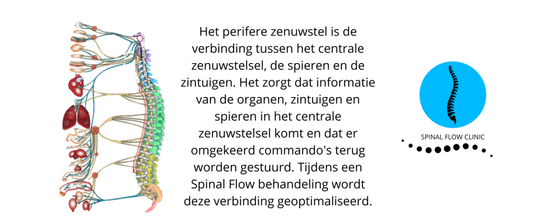 Spinal Flow Nederland