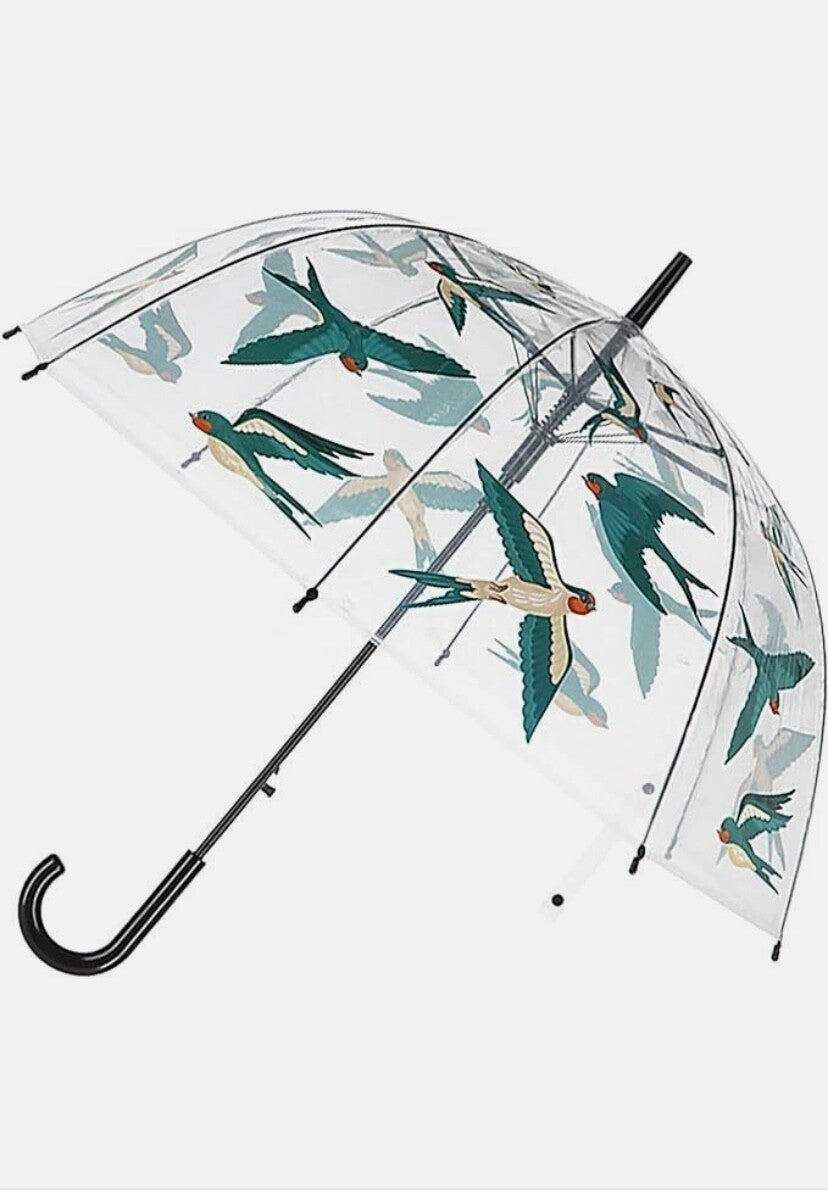 Barn Swallows - Umbrella