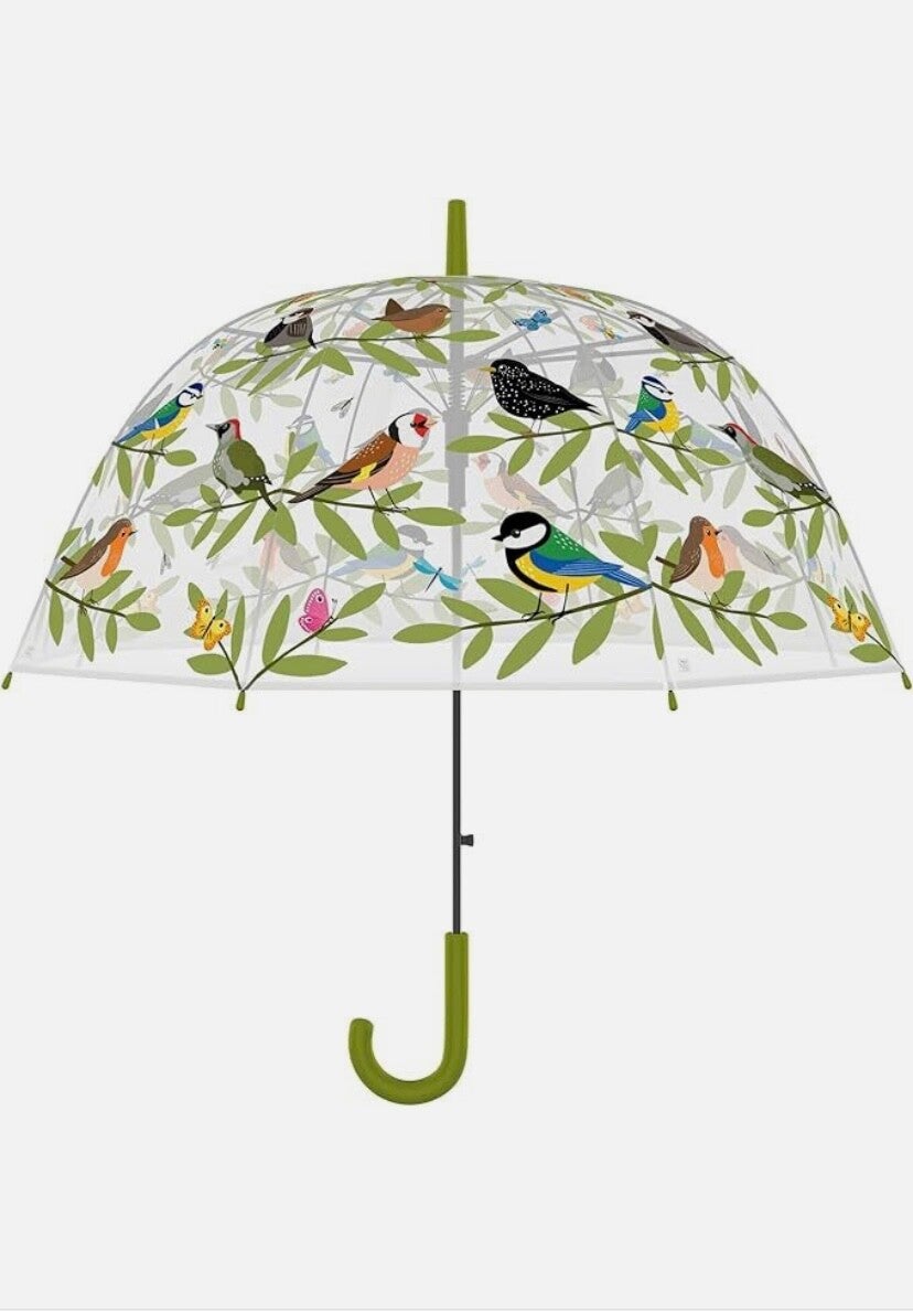 Bird Club - Umbrella