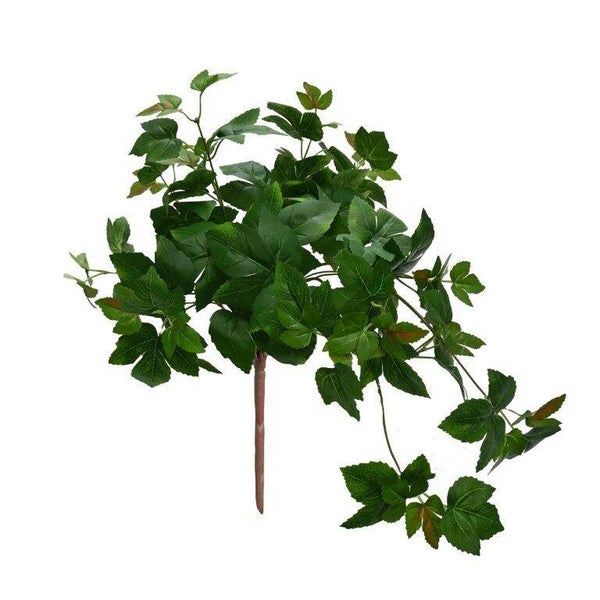 Hanging Maple Ivy Bush