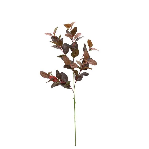 Seeded Gum, Outback Red