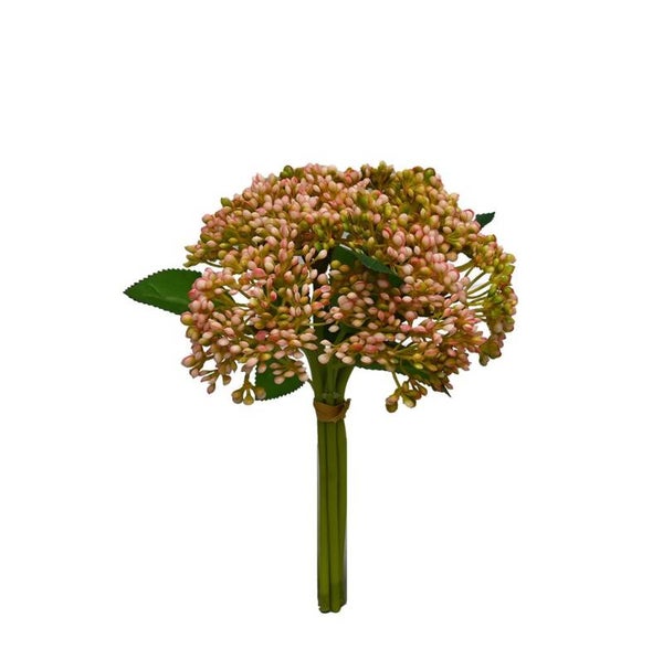 Sedum Bundle - Pink