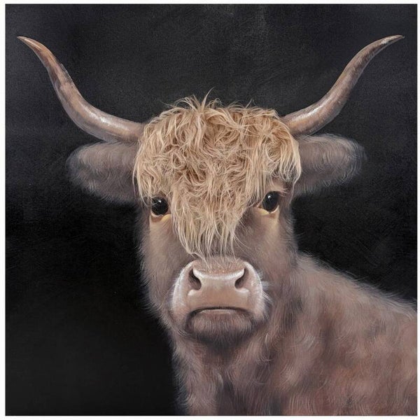Bad Hair Day - Highland Cow