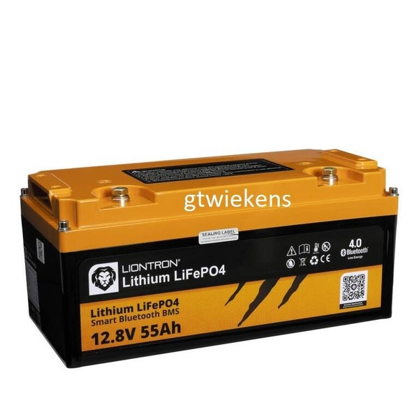 LIONTRON LiFePO4 12,8V 55Ah LX-M smart BMS IP67  10350006