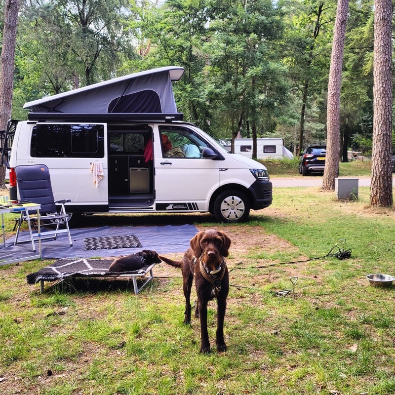 camperbouw-verhuurdongen17-21.jpg