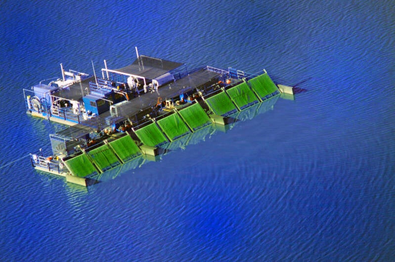 La composición de las algas Klamath es única. Contiene proteínas, ácidos grasos esenciales, vitaminas, minerales y pigmentos. Las proteínas de algas Klamath son completas y contienen todos los aminoácidos esenciales que necesita el cuerpo humano.