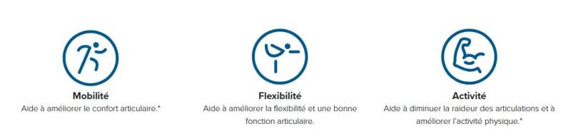 Cyactiv Flex soutient et nourrit le cartilage, les articulations, les muscles et le tissu conjonctif pour un confort et une qualité de vie sain