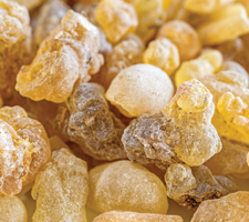 OSWELLIN® PS EXTRAIT DE BOSWELLIA SERRATA (RÉSINE)