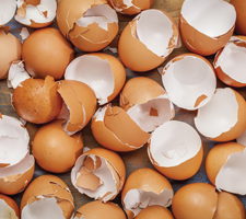 NEM® MEMBRANE DE COQUILLE D’ŒUF