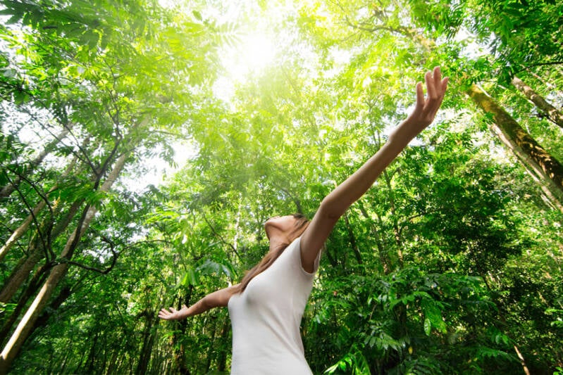 La Klamath procure un sentiment de bien-être et d'apaisement pendant une longue période. C'est un antistress et un antifatigue inégalé lorsque notre énergie est à son plus bas niveau. Parce que l'AFA agit sur le système nerveux, elle améliorerait l'état p