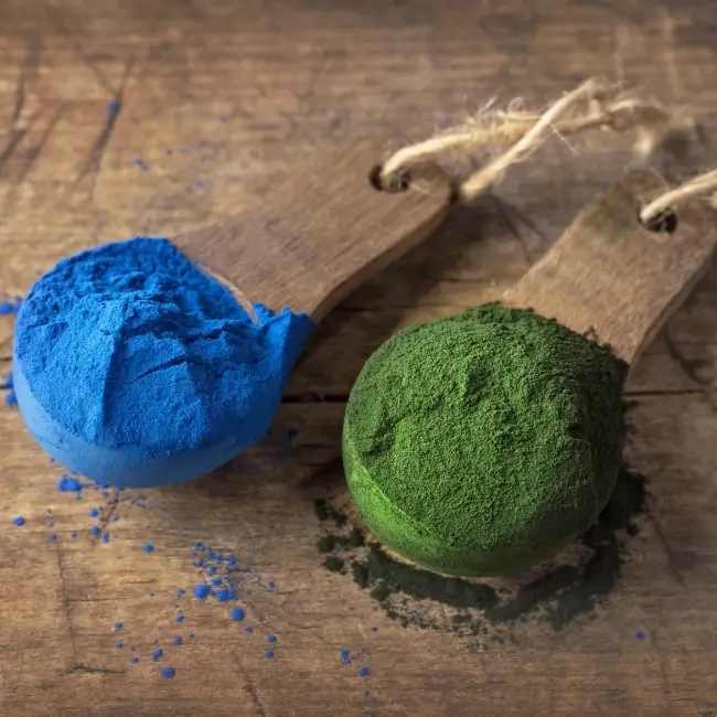 Les pouvoirs de la phycocyanine, le pigment bleu de la spiruline