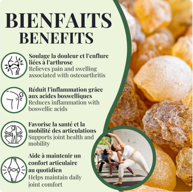 Sallaki (Boswellia serrata)