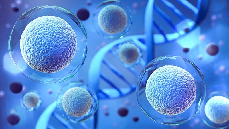 Les cellules souches adultes, également appelées cellules souches tissulaires sont des cellules immatures présentes dans les tissus et organes pleinement formés de l'organisme. Elles ont la capacité de se renouveler et de se différencier en différents typ