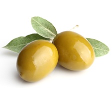 L’olive a été utilisée depuis l’Antiquité comme nourriture mais aussi pour ses nombreuses propriétés biologiques. L’olive est riche en anthocyanidines et polyphénols, dont l’oleuropéine et l’hydroxytyrosol.