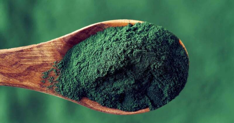 Existant depuis plus de 3 milliards d’années, la spiruline figure parmi les micro-organismes les plus anciens.