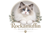 Rockamuffin Ragdolls