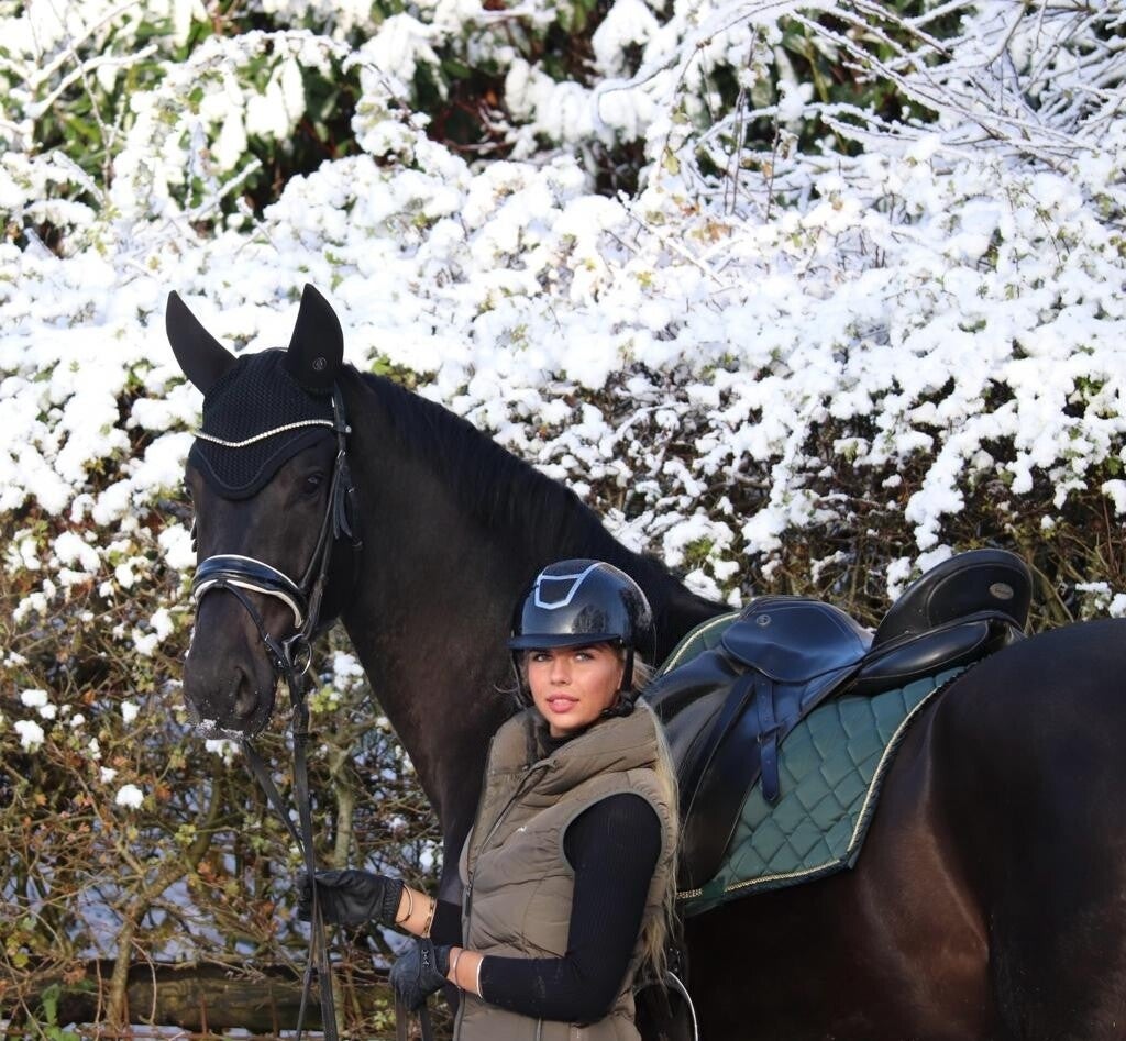 Home LionHeart Equestrian