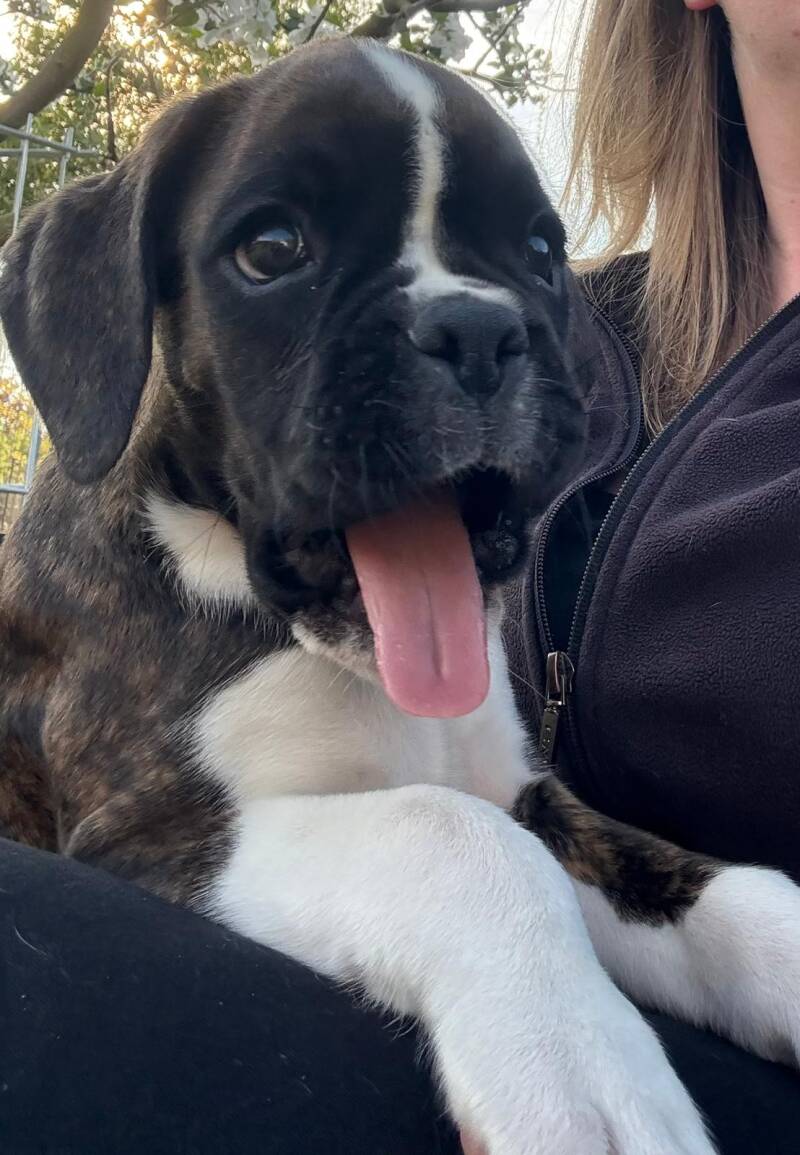 Casa Athletics Baxter