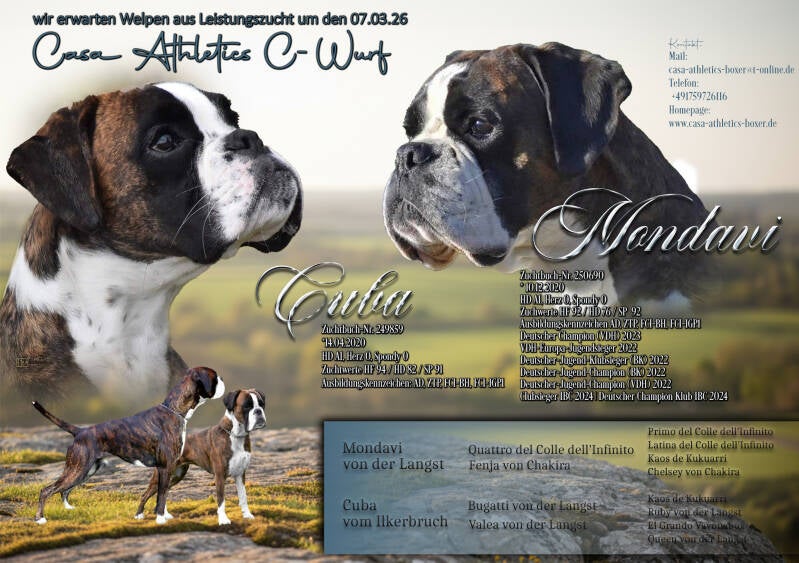 Casa Athletics C-Wurf