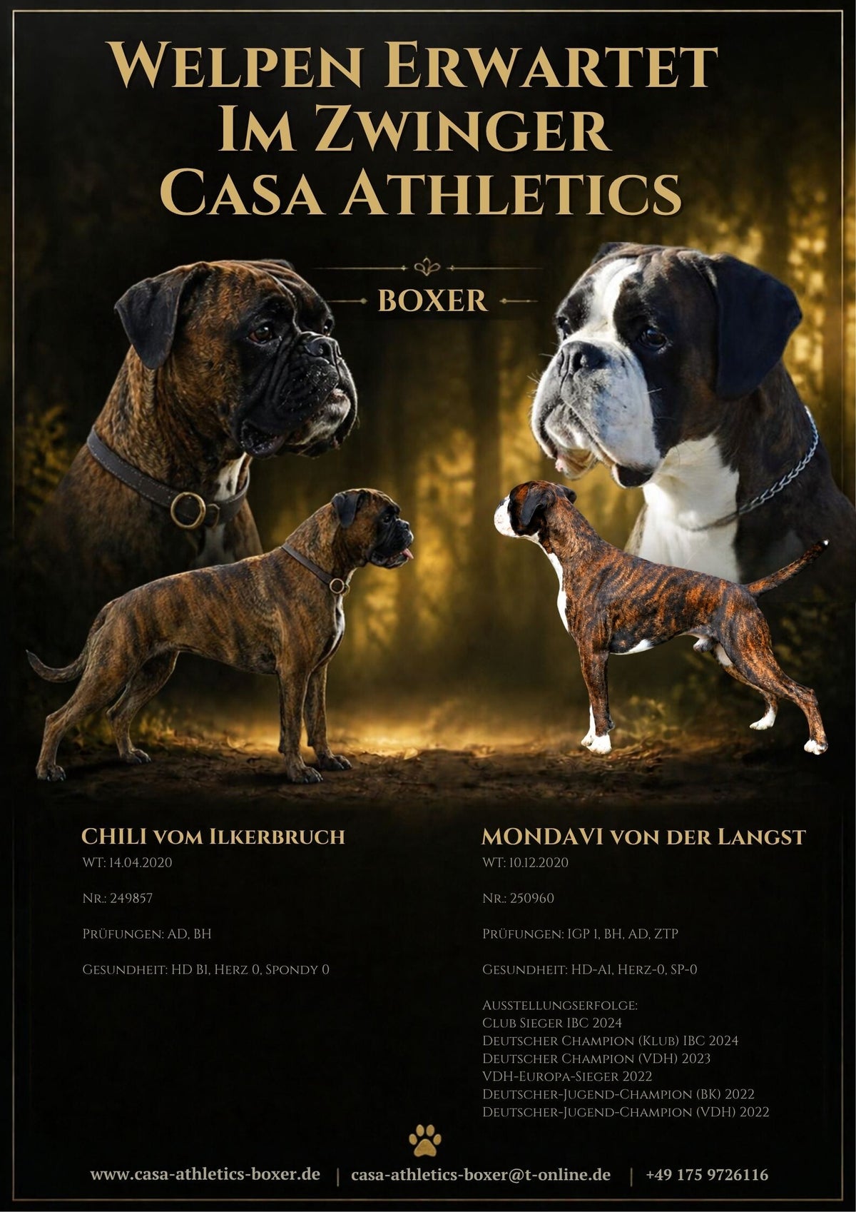 Casa Athletics Rudel / Casa Athletics D-Wurf - WT: 24.10.2026 / Welpen ...