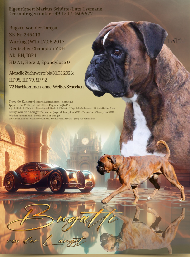 Bugattis von der Langst