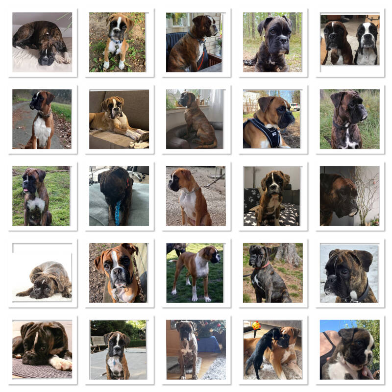 v.Ilkerbruch/Casa Athletics