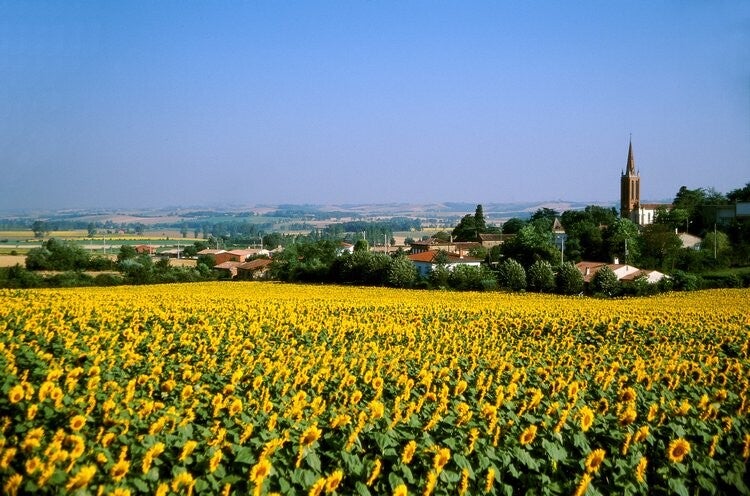 Environnement Segreville