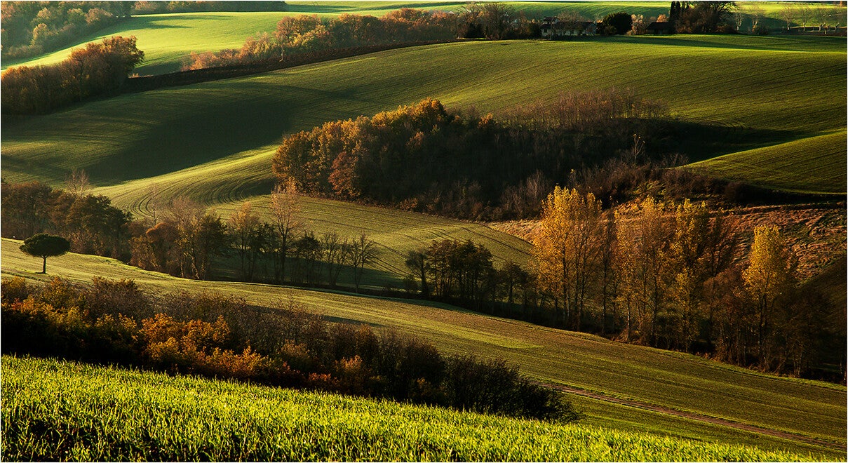 Champ Ségreville