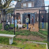 20241013_154334-standard.jpg